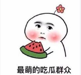 搞笑沙雕吃瓜娱乐圈小说,沙雕吃瓜，笑料横生